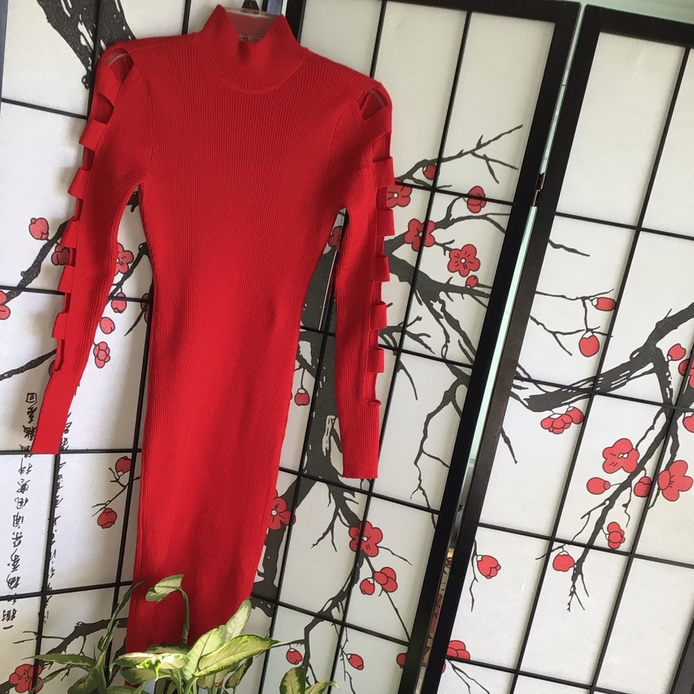 Brand New Almost Famous Dress